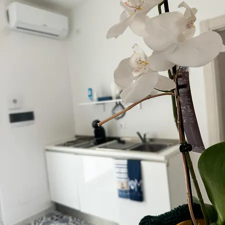 Vento Del Mar Scirocco