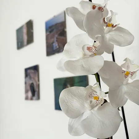 Apartamento Vento Del Mar Scirocco