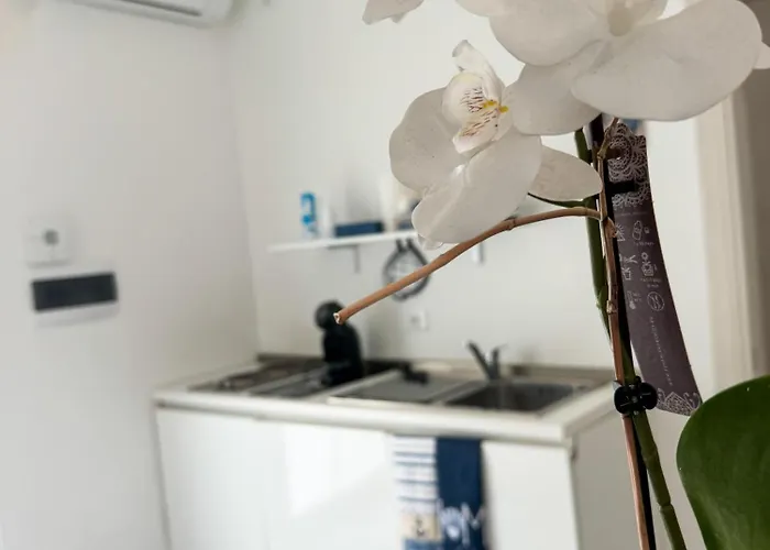 Vento Del Mar Scirocco