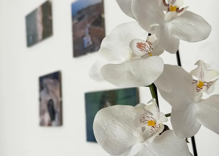 Apartamento Vento Del Mar Scirocco